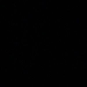 Meet your Posher, Brice